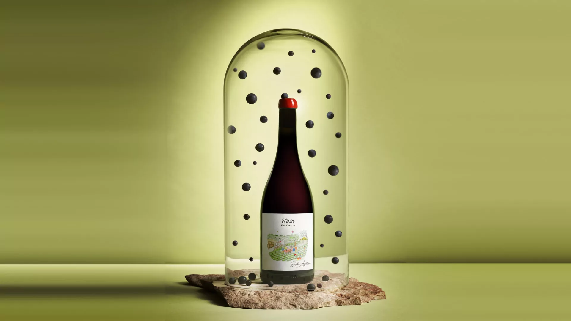 Vigne du Domaine Aegerter au printemps